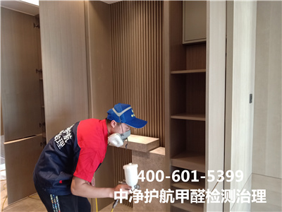 绿植除甲醛靠谱吗400-601-5399南宫NG28大兴周边学校幼儿园除甲醛