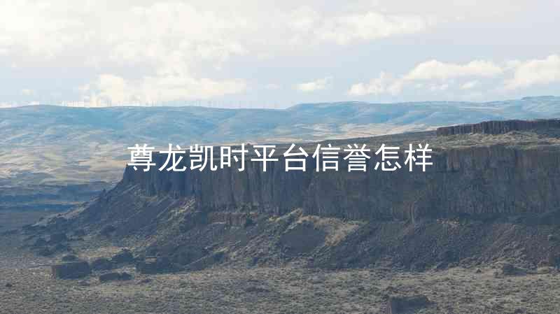 尊龙凯时平台信誉怎样