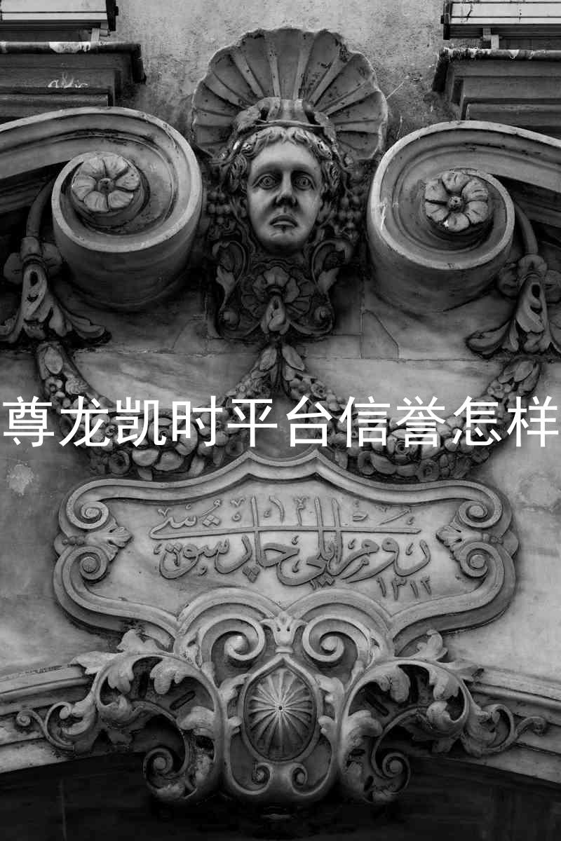 尊龙凯时平台信誉怎样