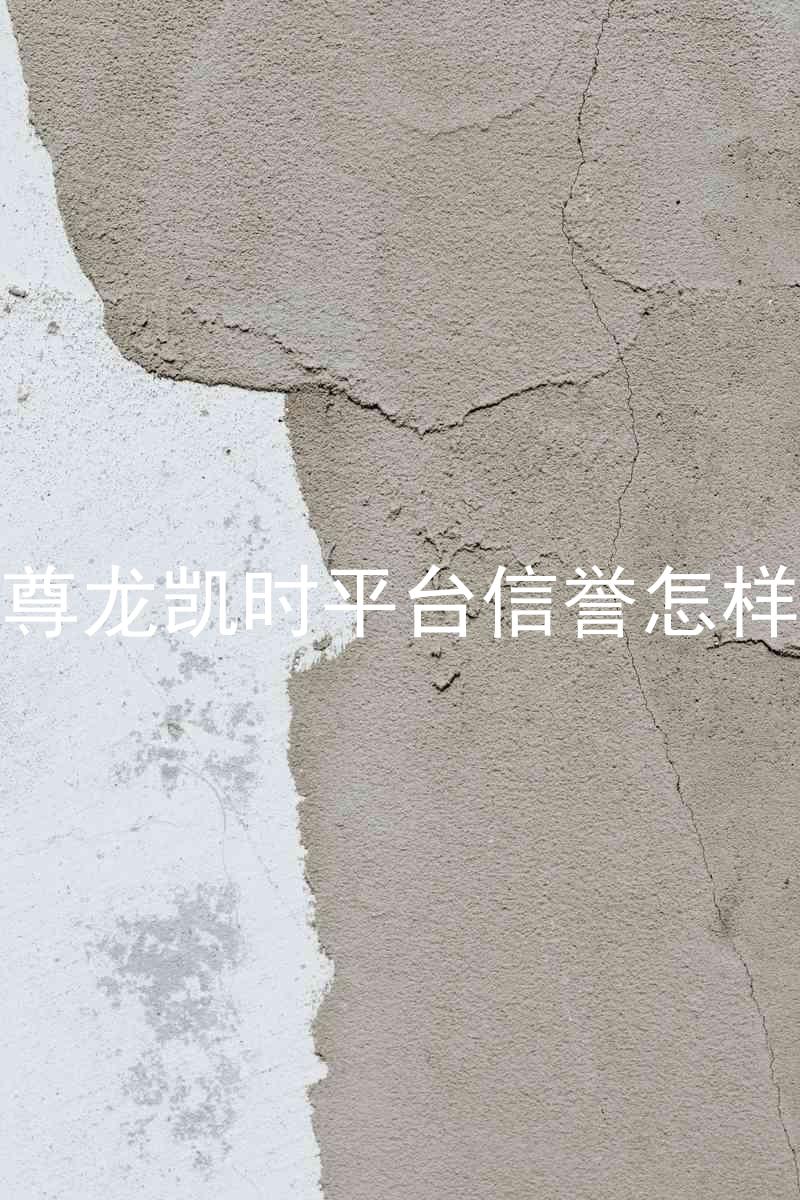 尊龙凯时平台信誉怎样
