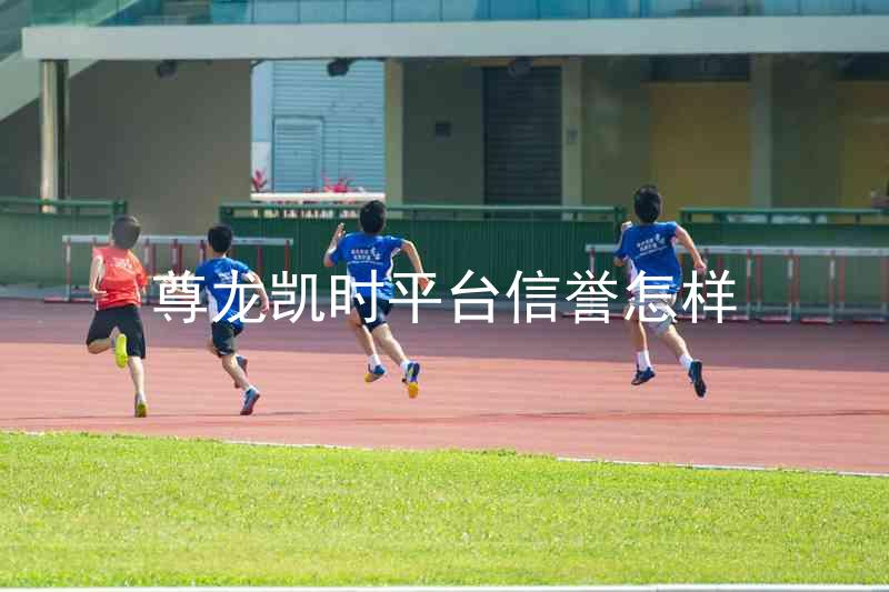 尊龙凯时平台信誉怎样